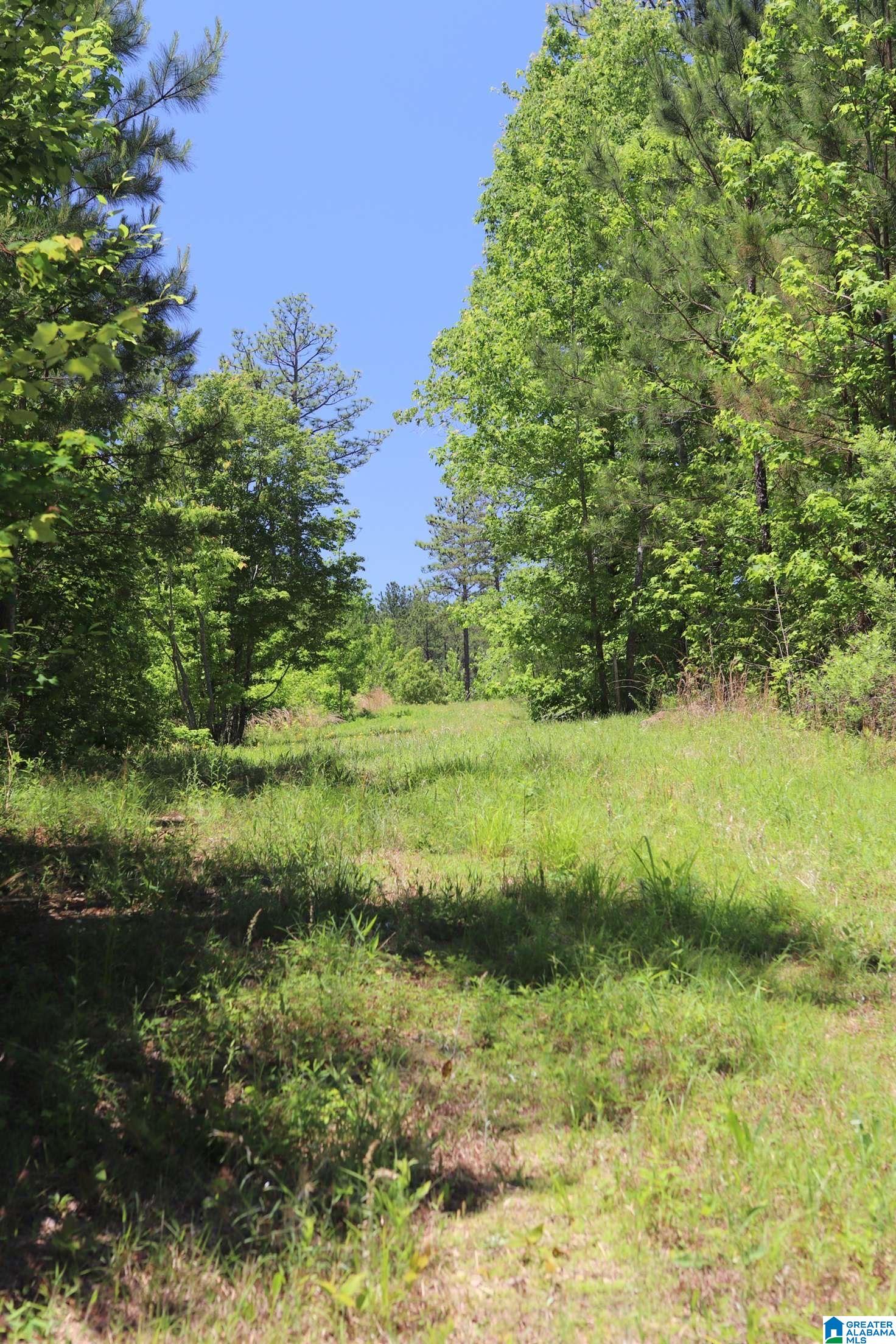 2930 Shocco Springs Road Talladega, AL 35160 - Photo 27 of 93