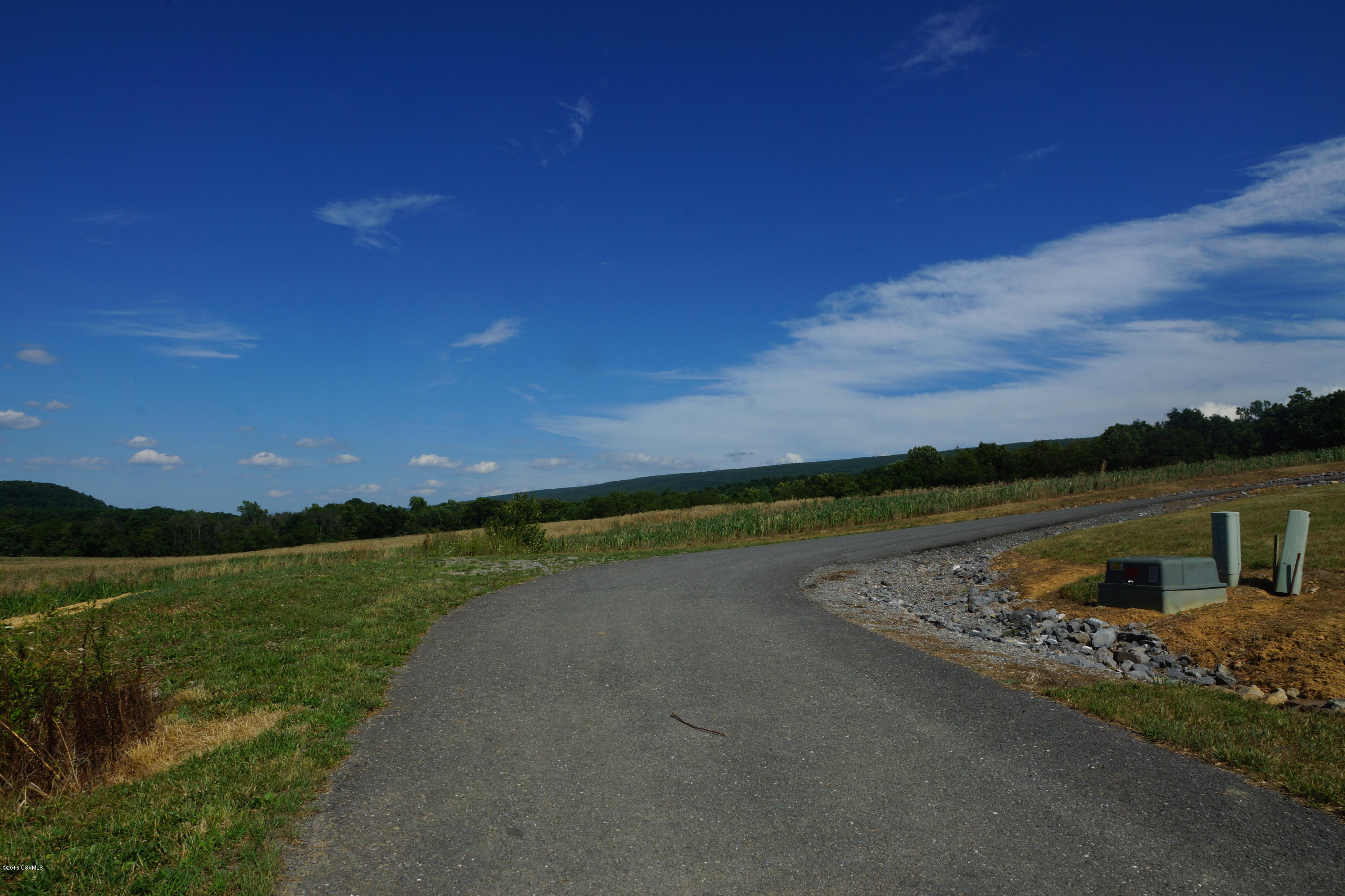 Beaver Tale Road Beavertown, PA 17813 - Photo 8 of 9 Gallery Image 8