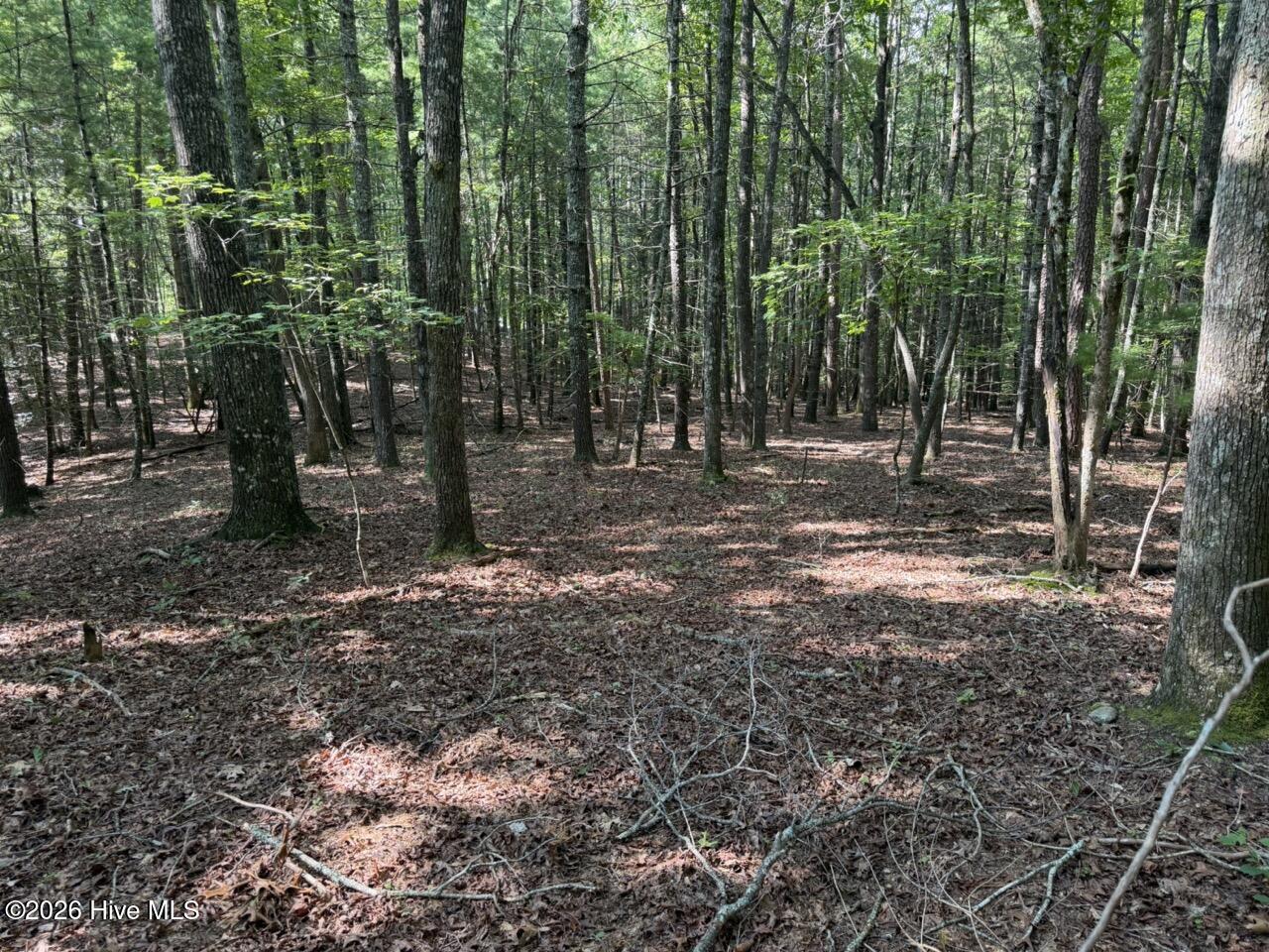 919 Panther Top Road Murphy, NC 28906 - Photo 4 of 14 Gallery Image 4