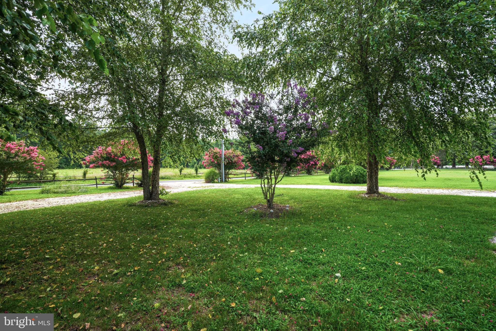 25367 Messongo Road Temperanceville, VA 23442 - Photo 85 of 107