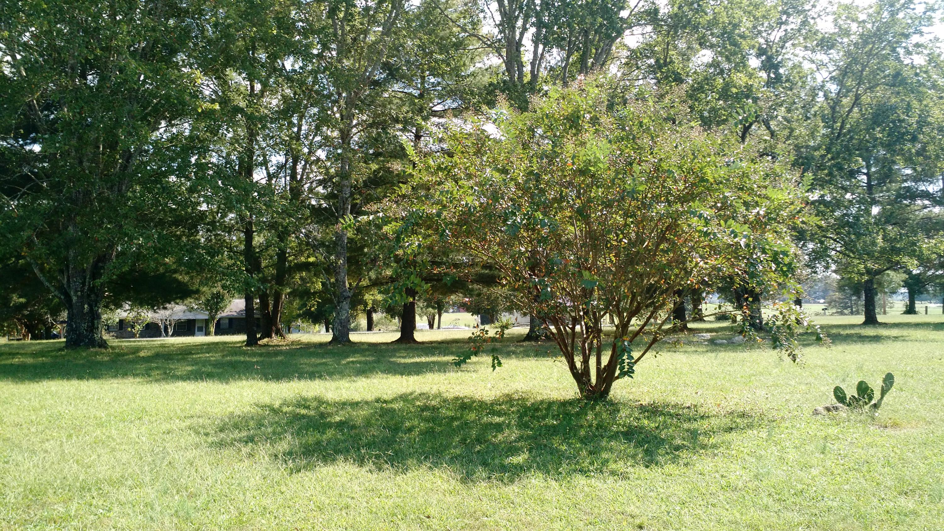 8549 Highway 58 Decatur, TN 37322 - Photo 11 of 17 IMG_20170927_143908384