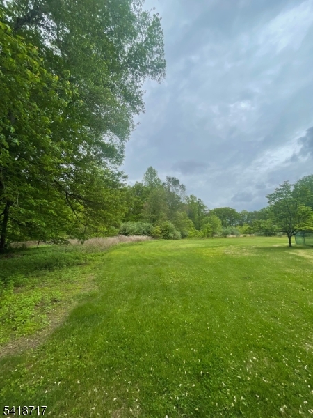 a view of an ocean from a yard