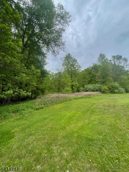 47 Britten Road Green Village, NJ 07935 - Photo 4 of 7 a view of a field of grass and trees