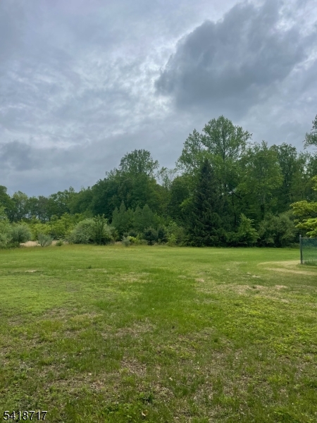 47 Britten Road Green Village, NJ 07935 - Photo 5 of 7 a view of field with tall trees in the background
