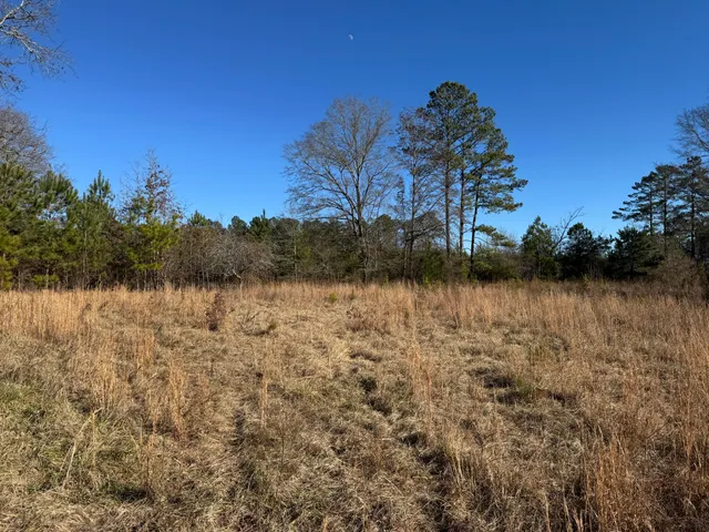 $149,000 | 964 Highway 39, Chappells, SC 29037