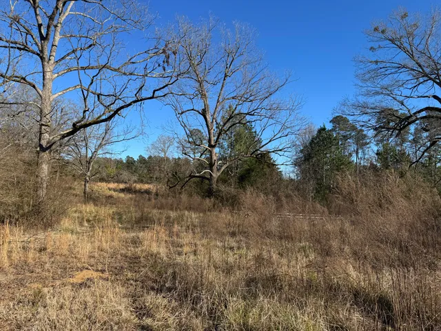 $149,000 | 964 Highway 39, Chappells, SC 29037