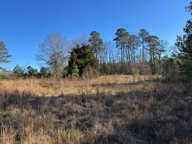 $149,000 | 964 Highway 39, Chappells, SC 29037