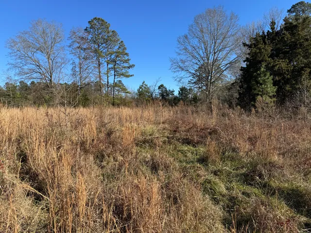 $149,000 | 964 Highway 39, Chappells, SC 29037