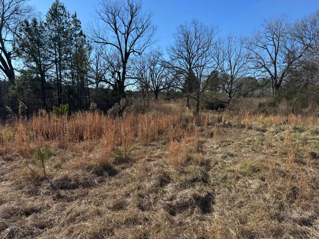 $149,000 | 964 Highway 39, Chappells, SC 29037