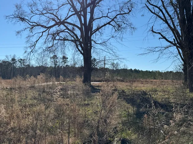 $149,000 | 964 Highway 39, Chappells, SC 29037