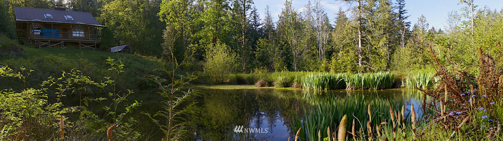 1022 Carl Johnson Road Quilcene, WA 98376 - Photo 2 of 24