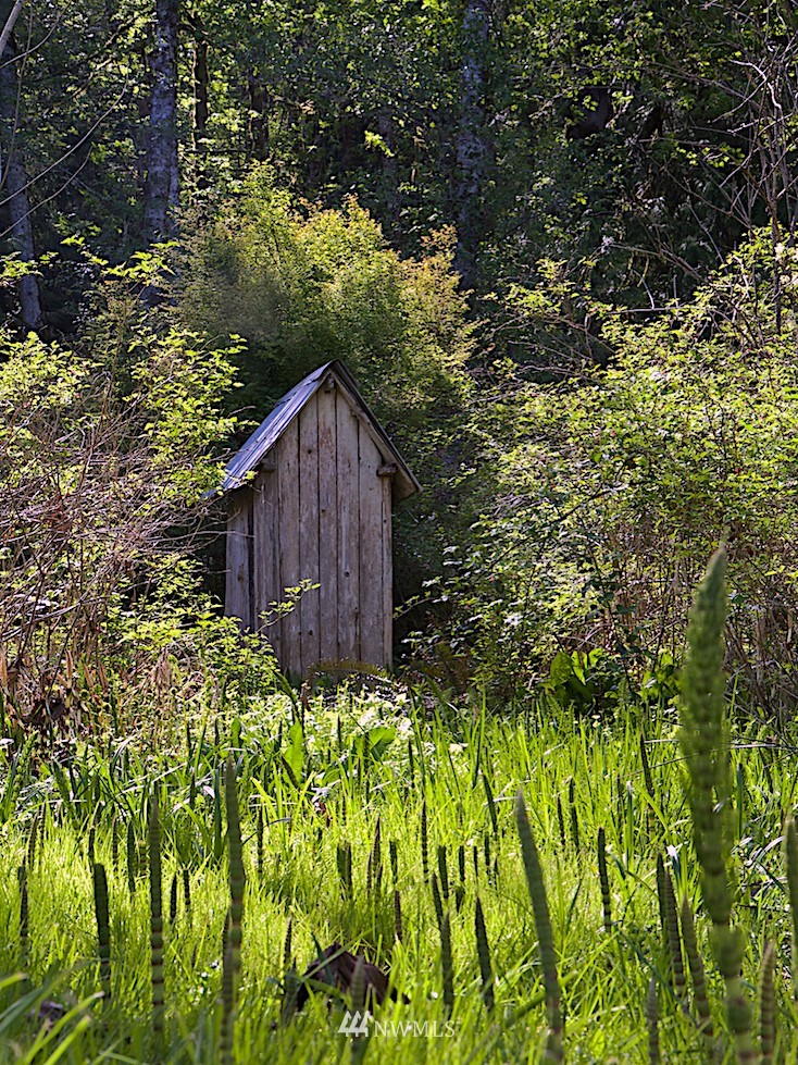 1022 Carl Johnson Road Quilcene, WA 98376 - Photo 21 of 24