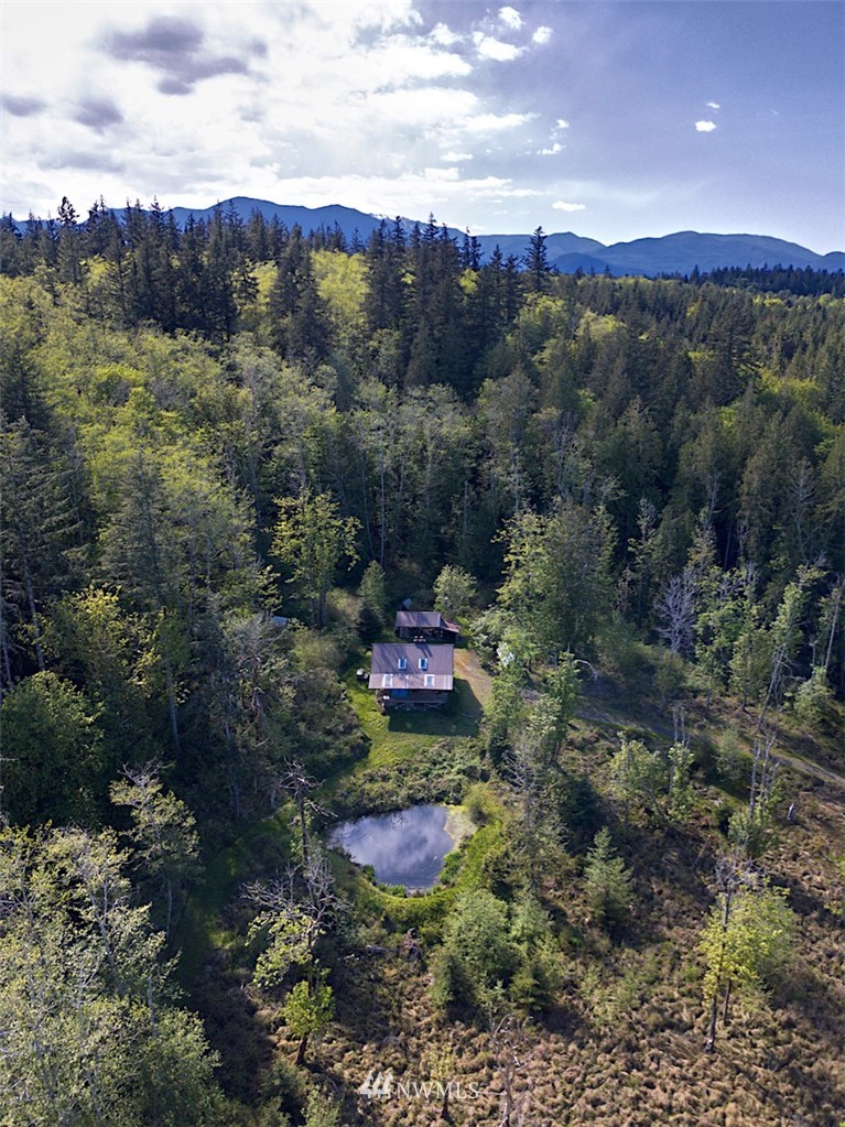 1022 Carl Johnson Road Quilcene, WA 98376 - Photo 5 of 24