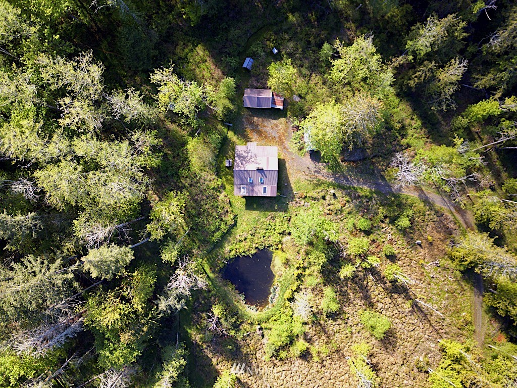 1022 Carl Johnson Road Quilcene, WA 98376 - Photo 6 of 24