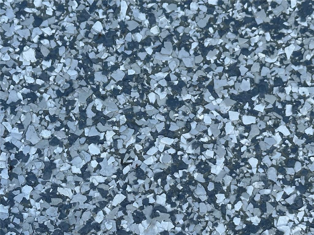 8649 Southwest 108th Ln Road Ocala, FL 34481 - Photo 72 of 72 UP CLOSE OF SHARK COATING
