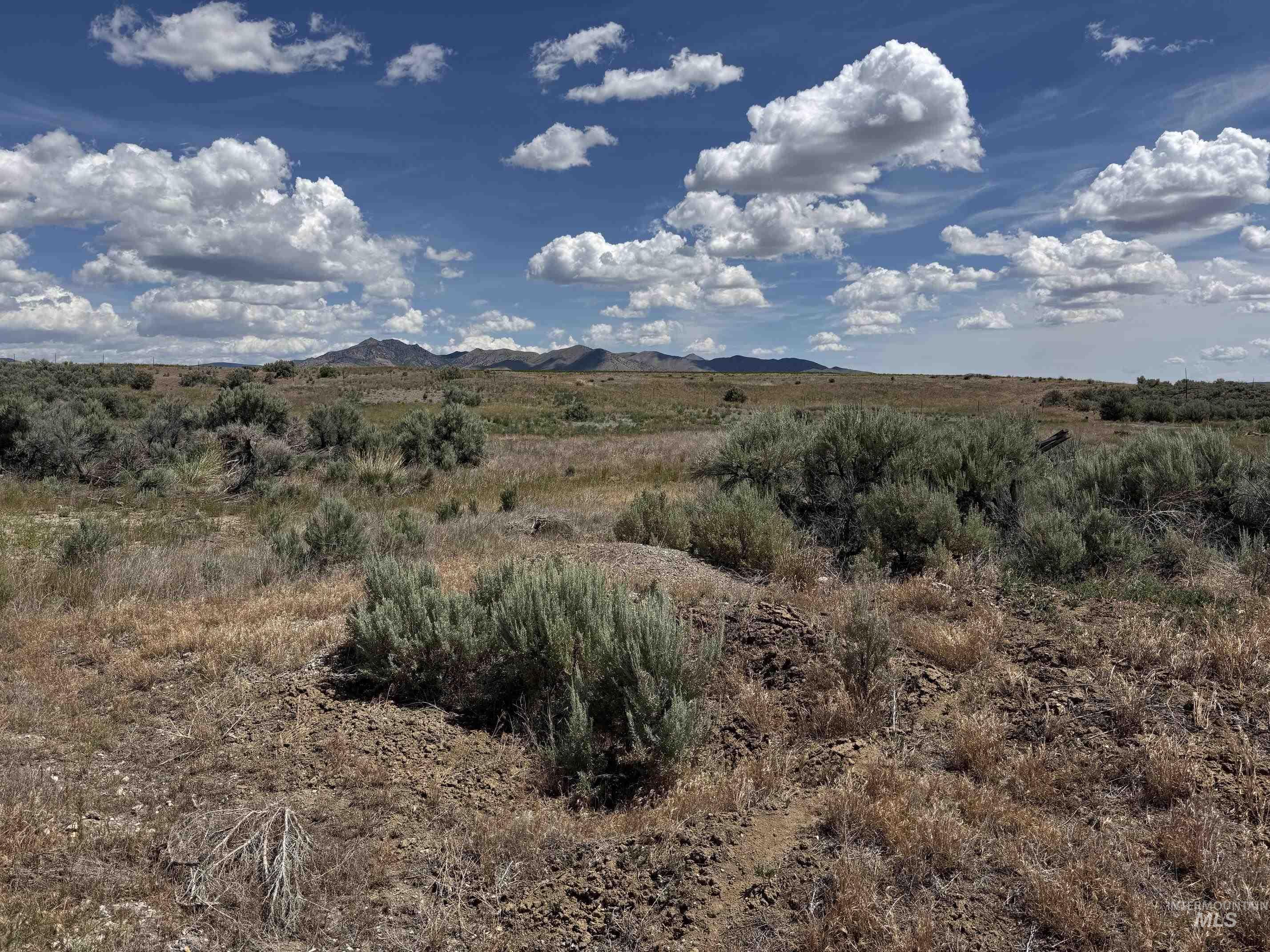 2950 West Tbd Arco, ID 83213 - Photo 4 of 6