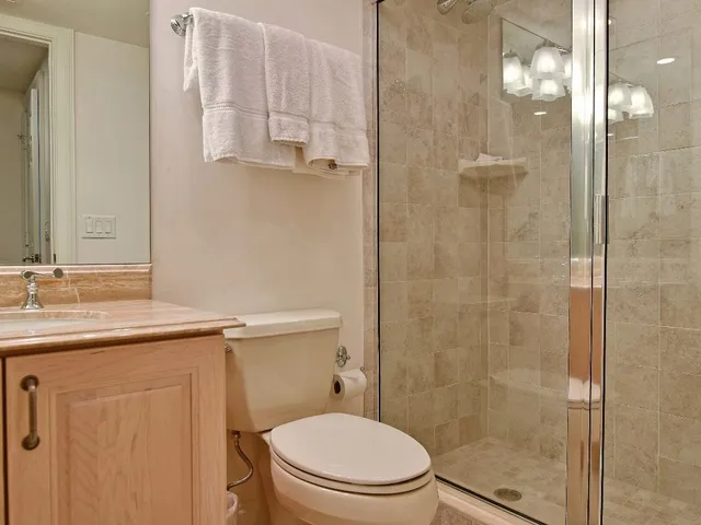 a bathroom with a sink a toilet and shower