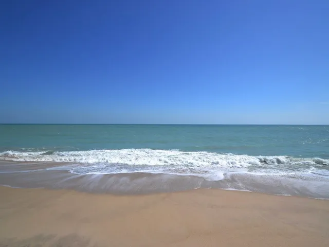 a view of an ocean and beach