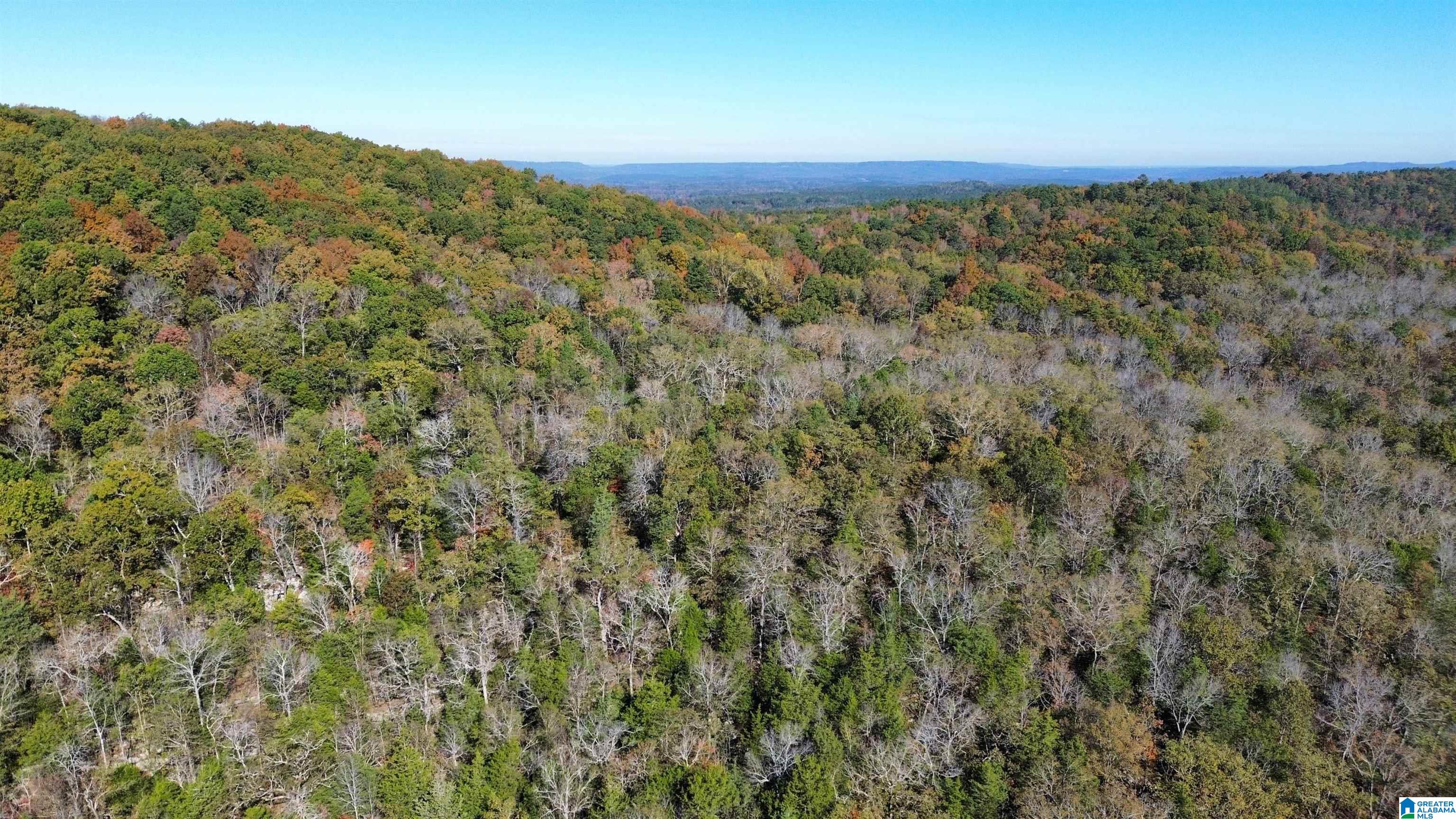0 Mill Creek Road, Unit 20 Warrior, AL 35180 - Photo 6 of 17