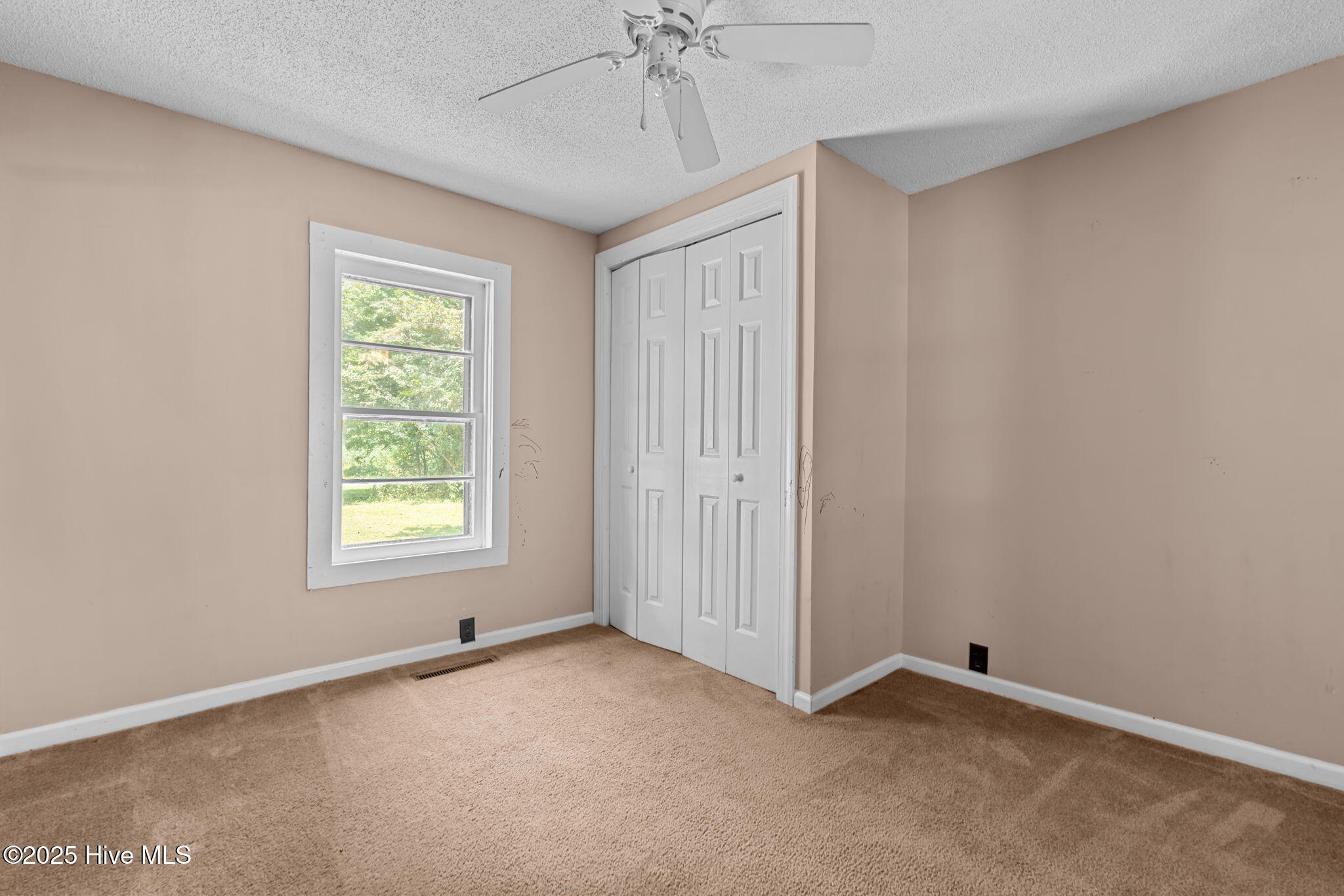3458 Mitchell Ford Road Clarkton, NC 28433 - Photo 10 of 30 18-web-or-mls-DSC00743