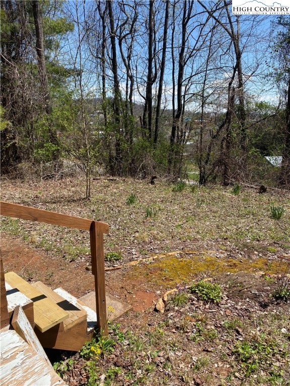 338 Mitchell Mountain Road Sparta, NC 28675 - Photo 15 of 22 Gallery Image 15