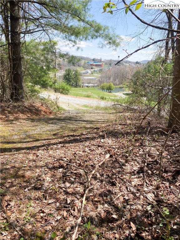 338 Mitchell Mountain Road Sparta, NC 28675 - Photo 19 of 22 Gallery Image 19