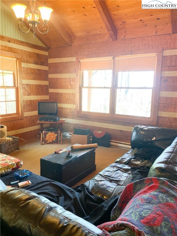 338 Mitchell Mountain Road Sparta, NC 28675 - Photo 7 of 22 Gallery Image 7