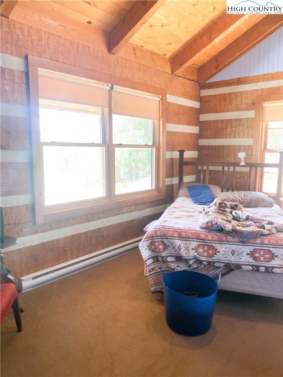 338 Mitchell Mountain Road Sparta, NC 28675 - Photo 8 of 22 Gallery Image 8