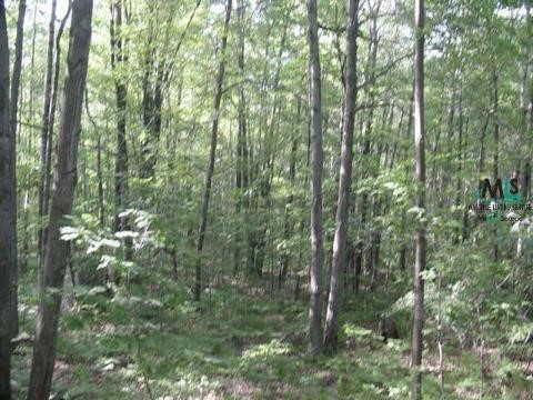0 East Haskell Lake Road Harrison, MI 48625 - Photo 1 of 3 887153.JPG