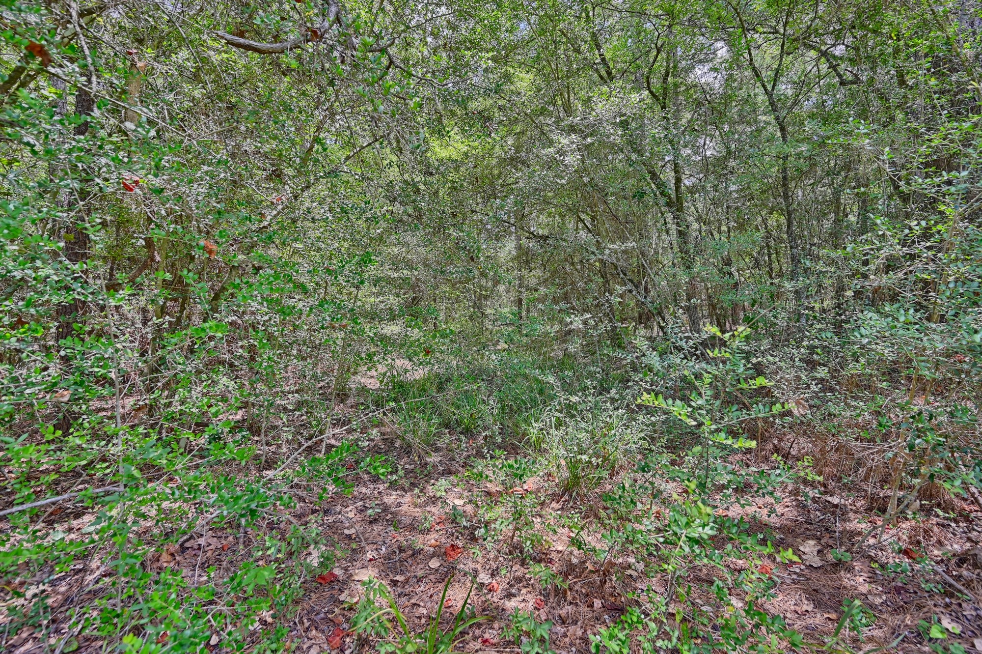 16893 Whippoorwill Road Navasota, TX 77868 - Photo 20 of 31