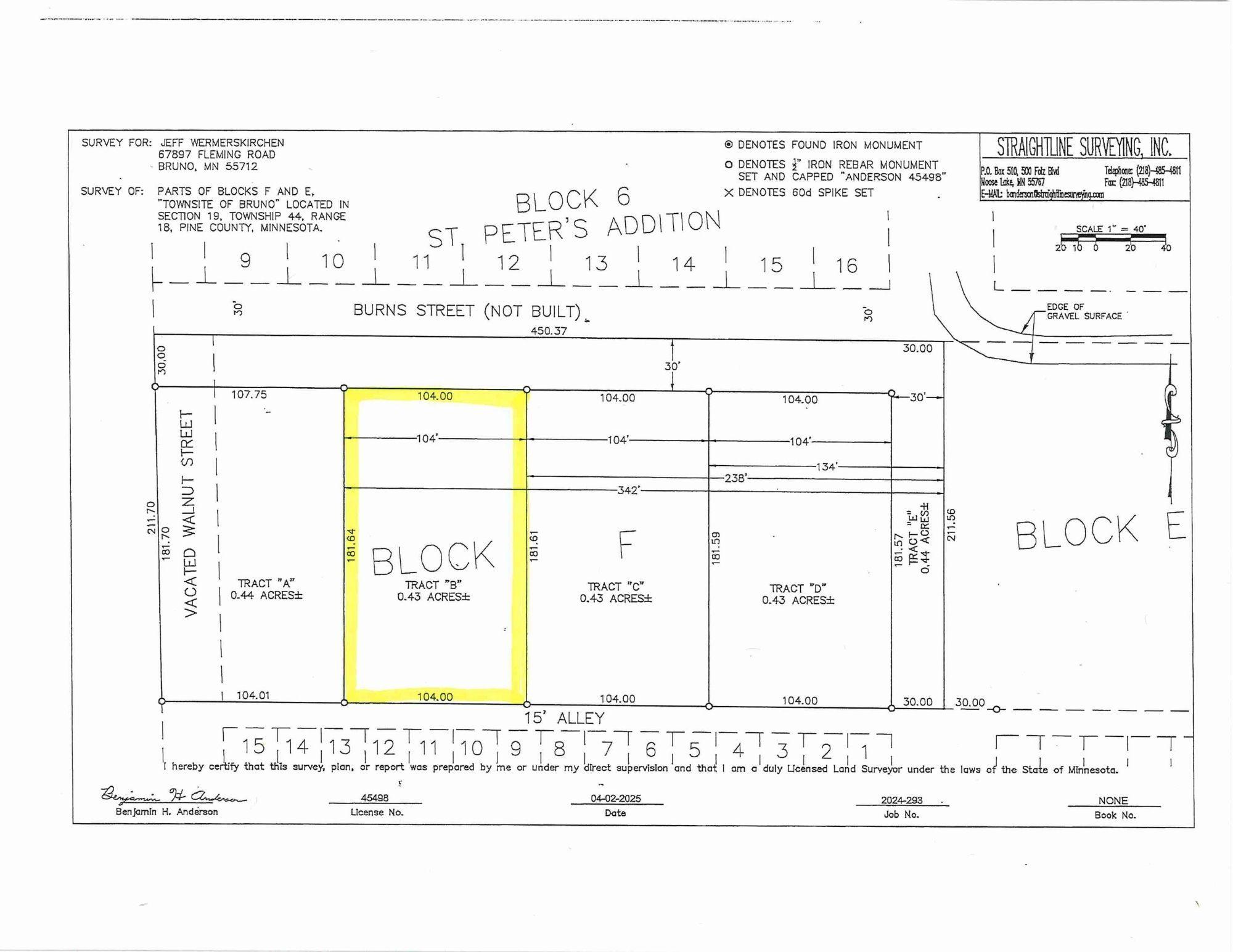 Tbd-lot B Burns Street Bruno, MN 55712 - Photo 6 of 6