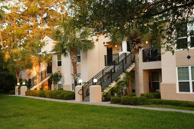 an outdoor space with plants