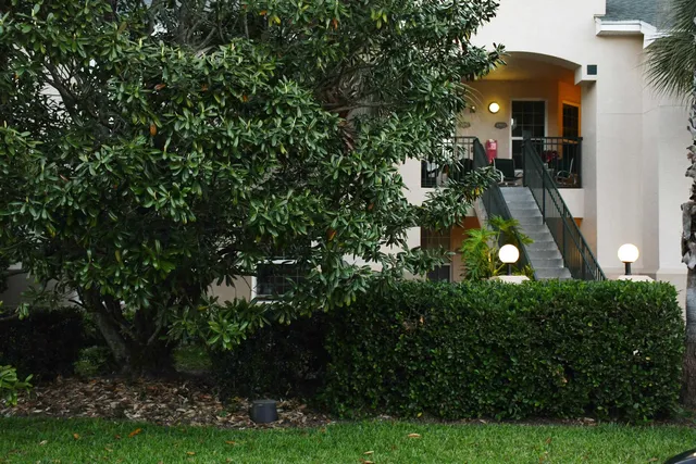 a view of a field with an trees