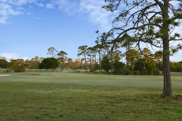 a view of a lake in middle of the middle of a lake