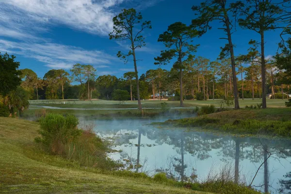 a view of a lake from a yard
