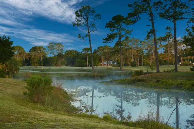 a view of a lake from a yard