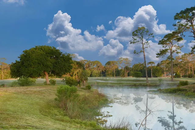 a view of a house with a garden