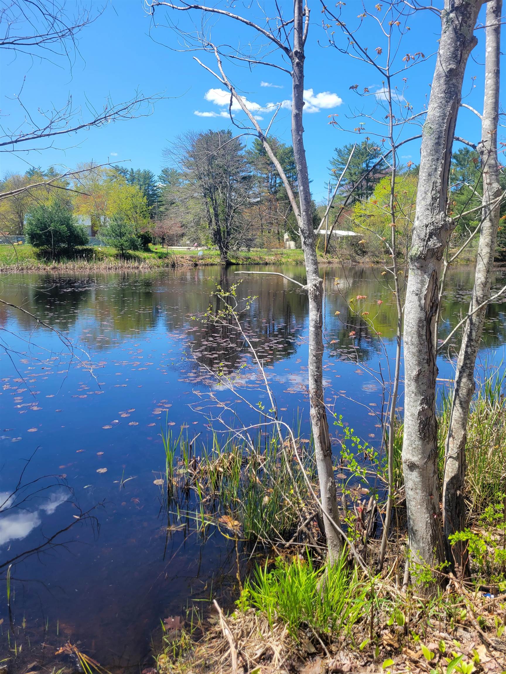 8 Pond Road Raymond, NH 03077 - Photo 8 of 28