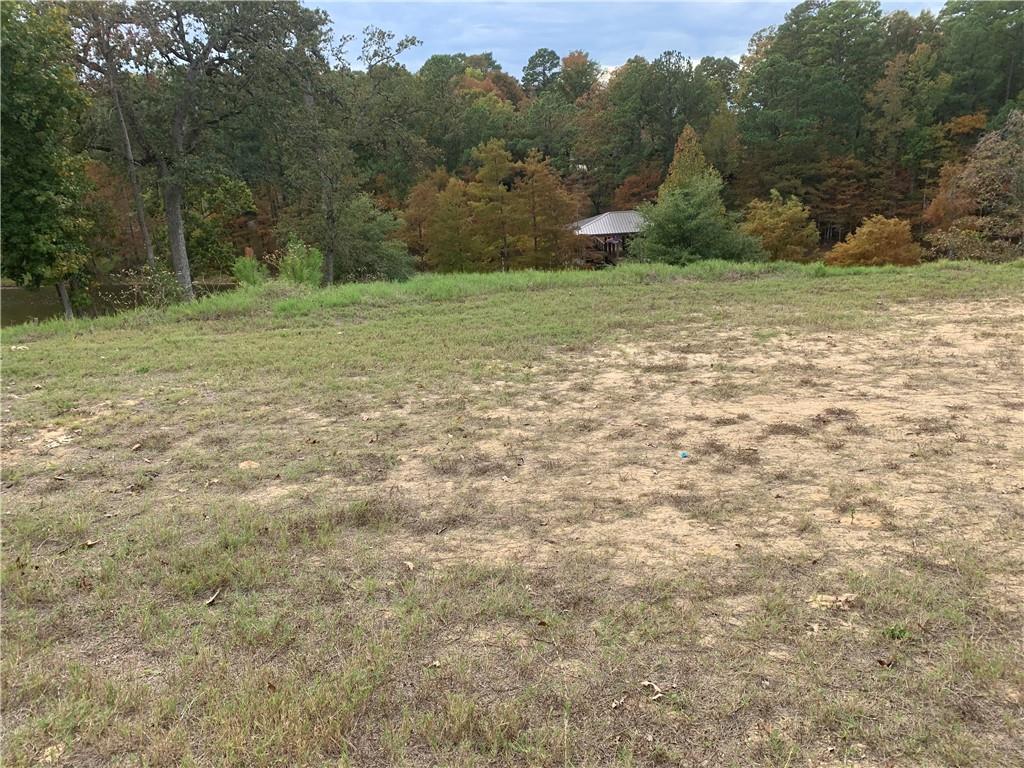 376 Peck Street Many, LA 71449 - Photo 7 of 10 Gallery Image 7