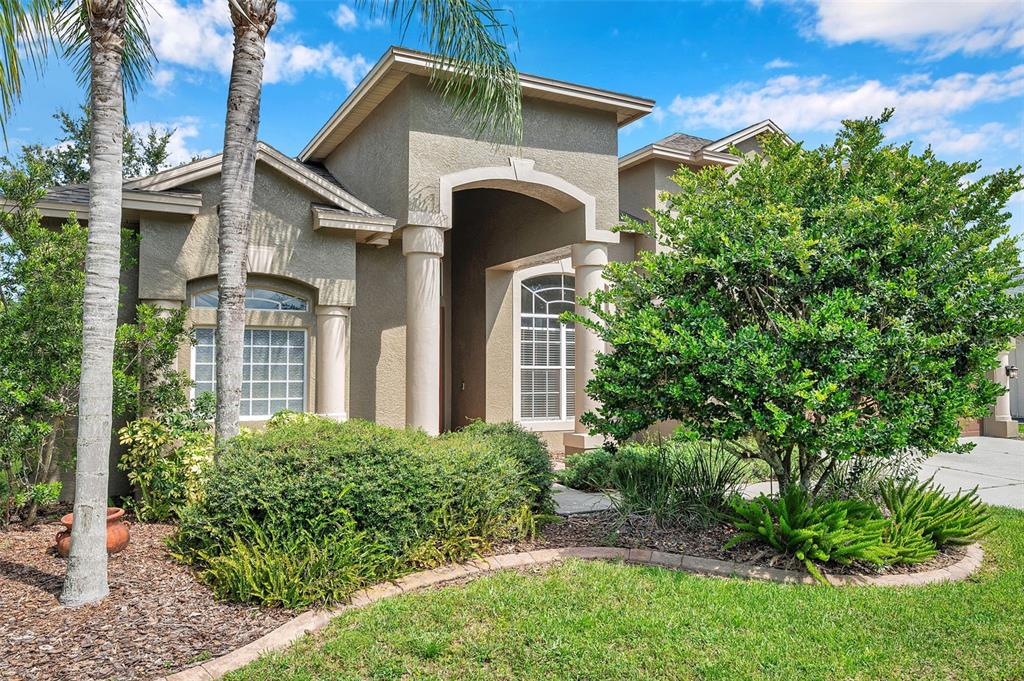4812 Walnut Ridge Road Land O' Lakes, FL 34638 - Photo 51 of 74 Gallery Image 51