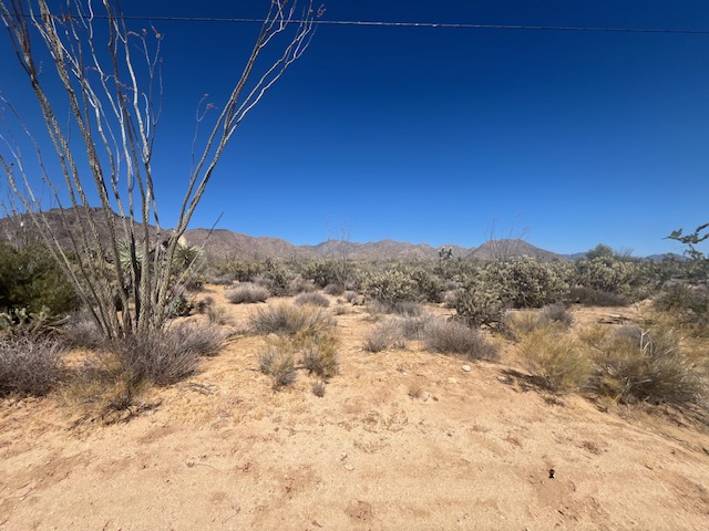 11108 Alvis Road Yucca, AZ 86438 - Photo 4 of 20