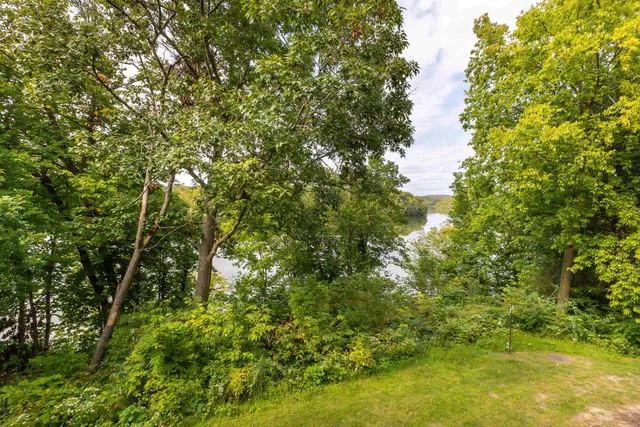 a view of a tree in a yard