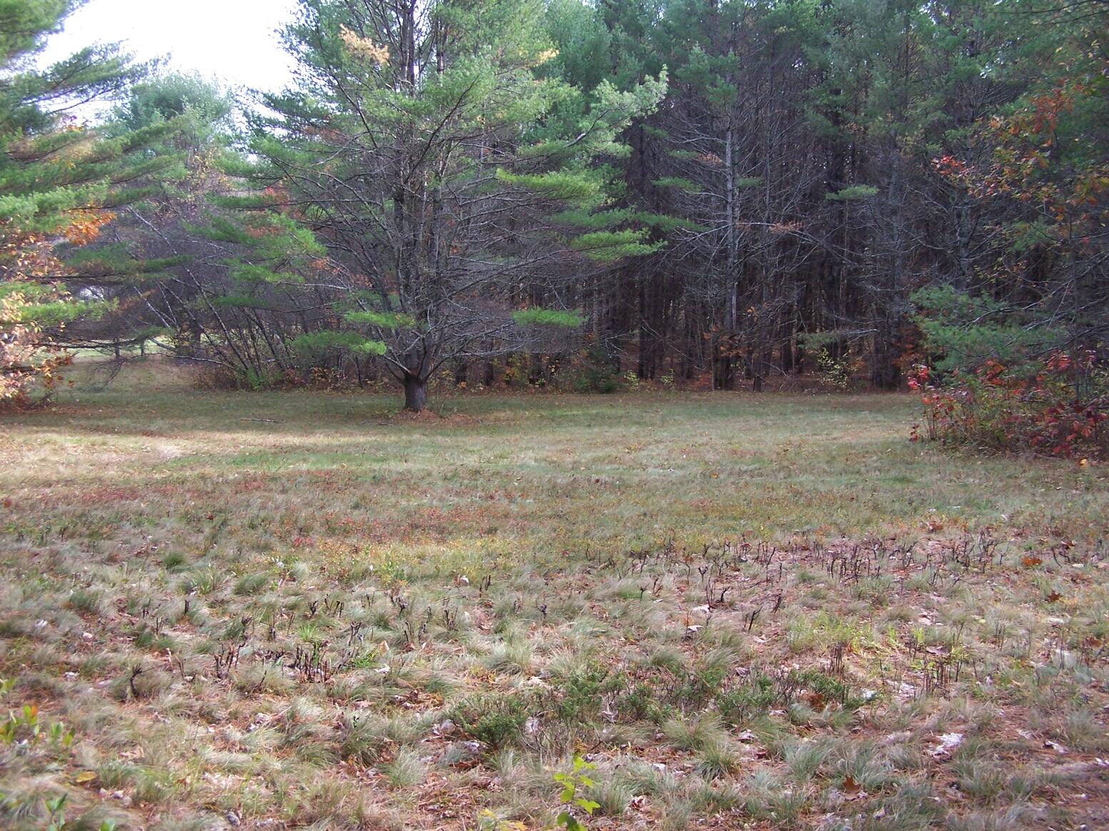 Lot 49 Gardiner Road Dresden, ME 04342 - Photo 15 of 23 101_5335