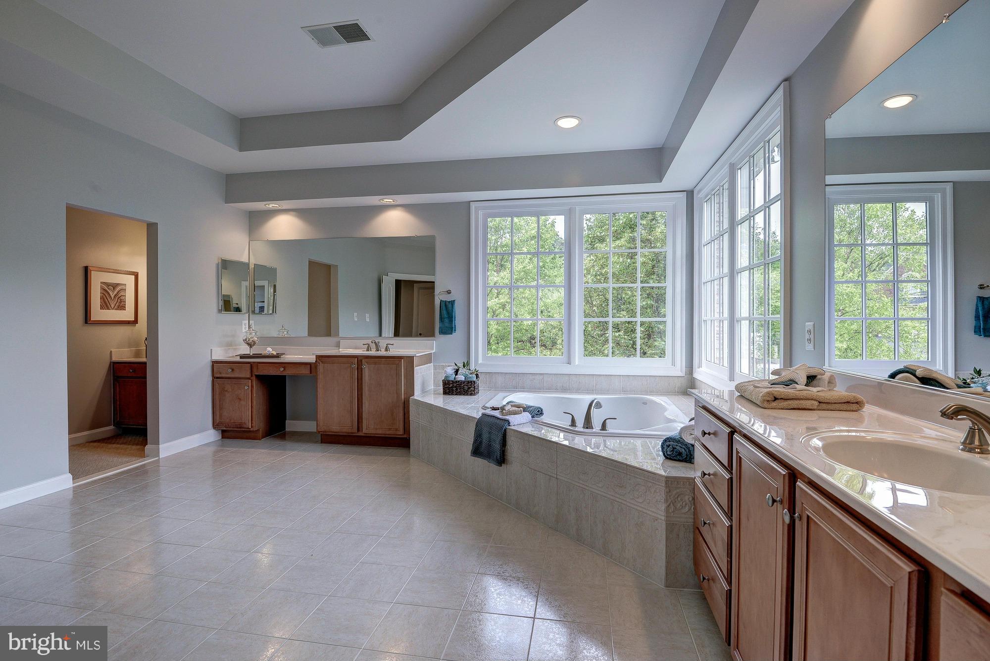 8890 Windy Ridge Way McLean, VA 22102 - Photo 25 of 30 Bath (Master)