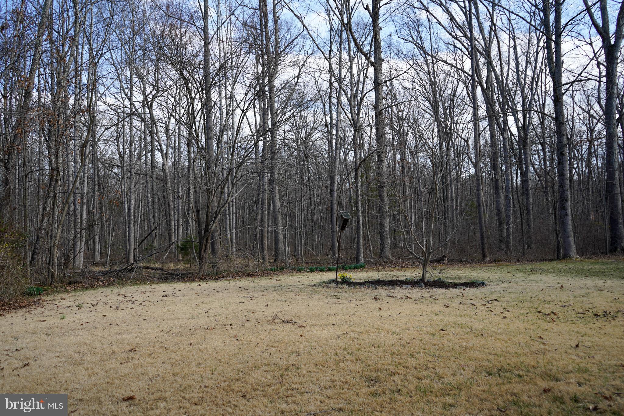 7323 O'Keefe Road Bealeton, VA 22712 - Photo 45 of 48 Serene landscape with a wooded backdrop.