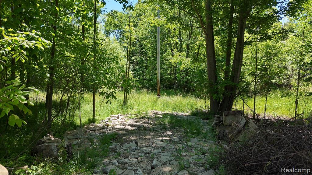 0 Williams Road Gaines, MI 48436 - Photo 19 of 28