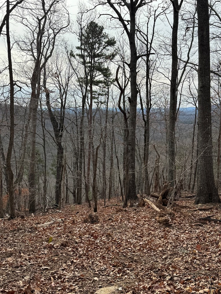 Lot 109 Folkstone Road Jasper, GA 30143 - Photo 11 of 11