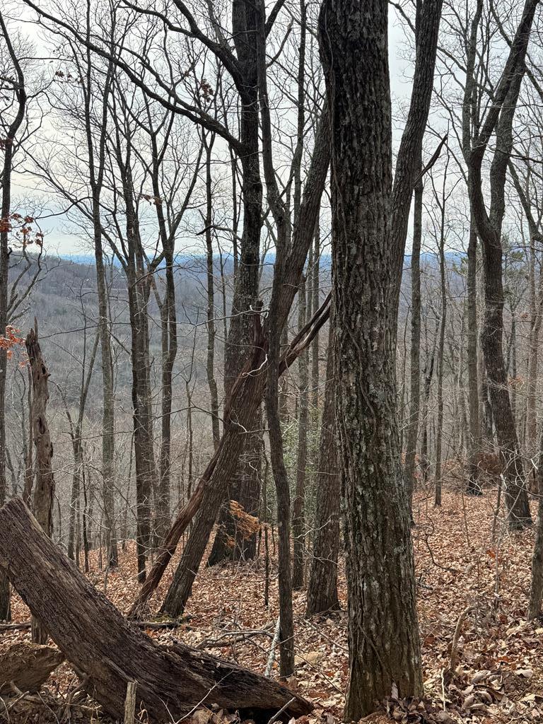 Lot 109 Folkstone Road Jasper, GA 30143 - Photo 2 of 11