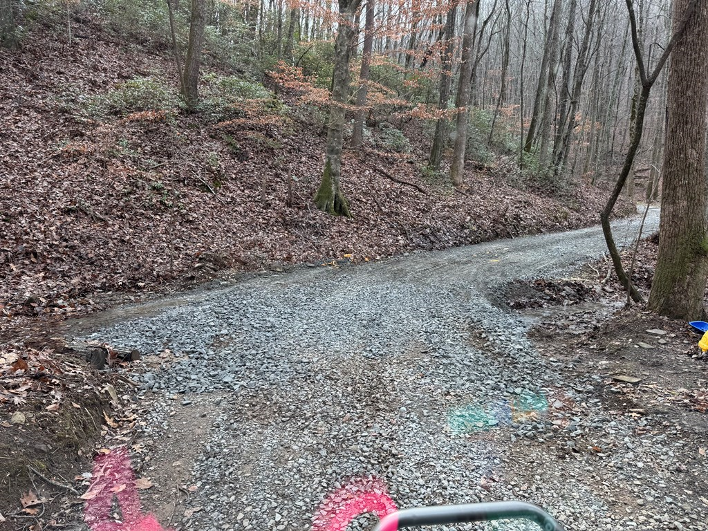 Lot 109 Folkstone Road Jasper, GA 30143 - Photo 4 of 11