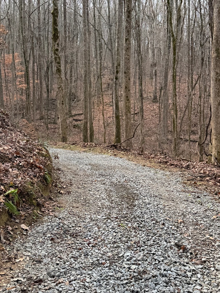 Lot 109 Folkstone Road Jasper, GA 30143 - Photo 5 of 11